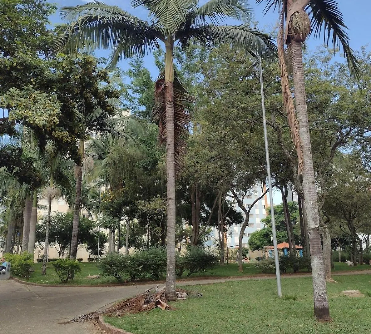 Ap Lindo Com Vista Privilegiada Sao Jose dos Campos 0*,  Brazil